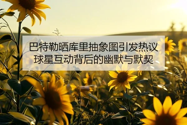 巴特勒晒库里抽象图引发热议 球星互动背后的幽默与默契（MangosSports）