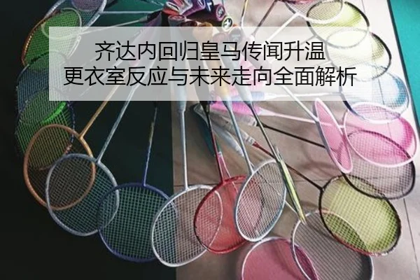 齐达内回归皇马传闻升温 更衣室反应与未来走向全面解析（MangosSports）