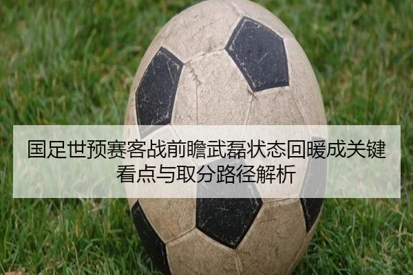 国足世预赛客战前瞻武磊状态回暖成关键看点与取分路径解析（MangosSports）